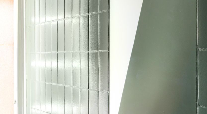 Photo of Silver Elderflower