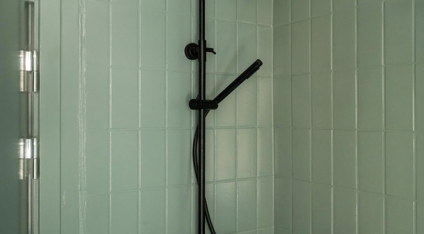 Photo of Silver Elderflower