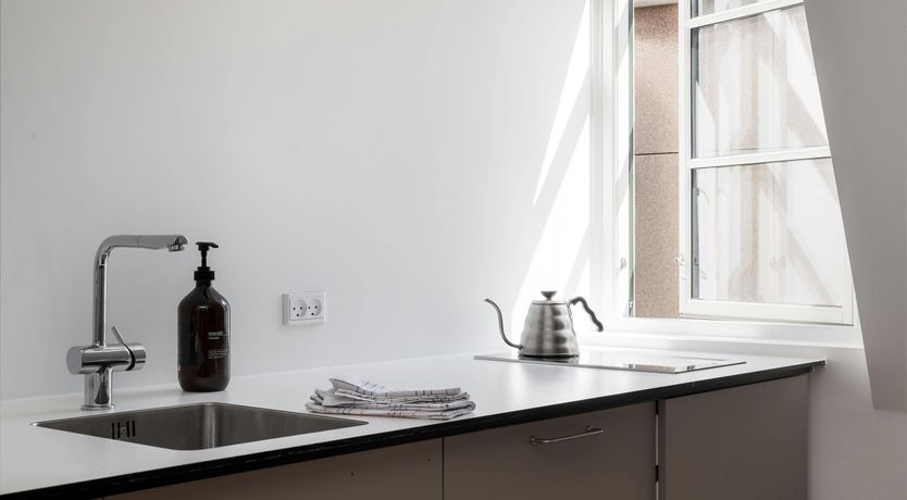 Photo of Silver Elderflower