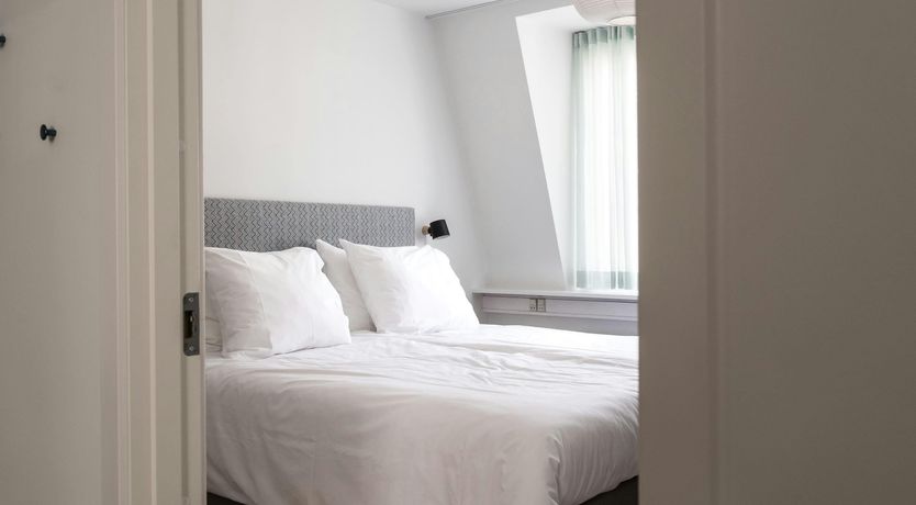 Photo of Silver Elderflower