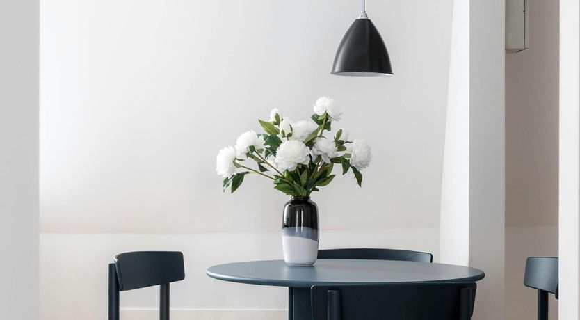 Photo of Silver Elderflower