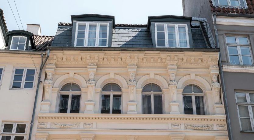 Photo of Silver Elderflower