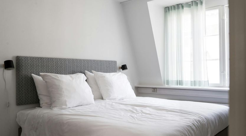 Photo of Silver Elderflower