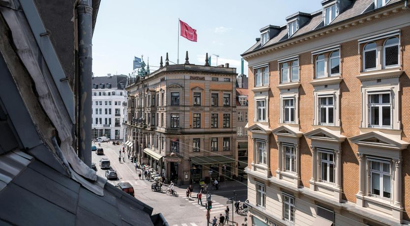 Photo of Silver Elderflower