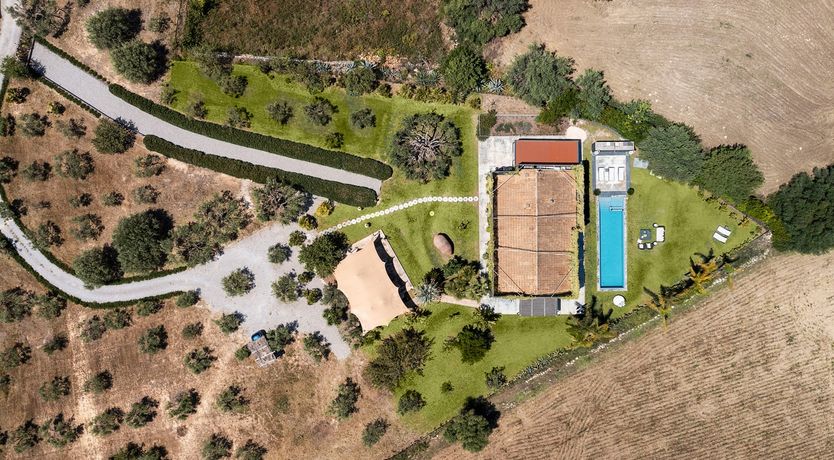 Photo of Sicilian Trellis