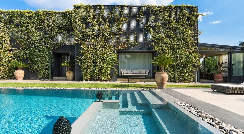 Photo of Sicilian Trellis