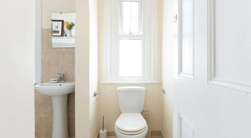 Photo of Joy of Colours