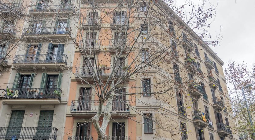 Photo of The Barcelona Haven