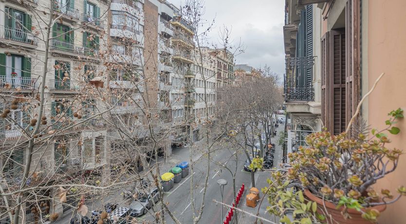 Photo of The Barcelona Haven