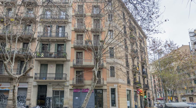 Photo of The Barcelona Haven