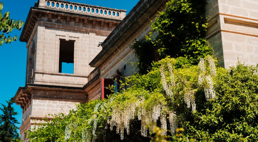 Photo of Dancing Sun