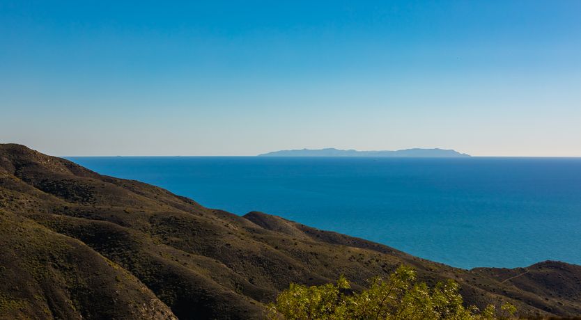 Photo of Malibu Stacy