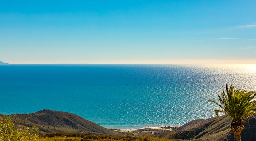 Photo of Malibu Stacy