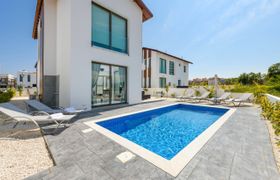 Photo of cyprus-jay