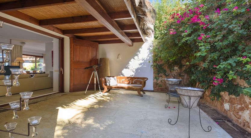 Photo of The Sunbird's Song