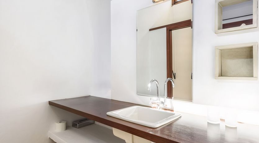 Photo of The Sunbird's Song