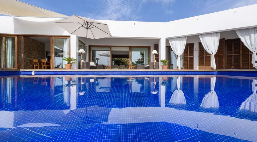 Photo of The Sunbird's Song