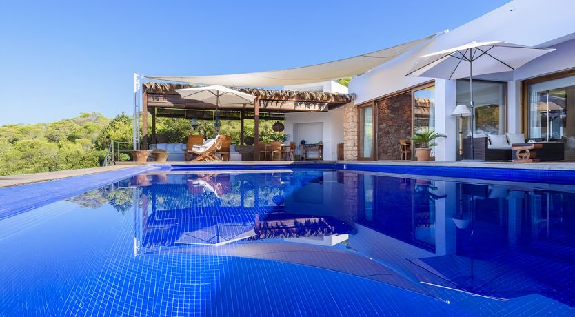 Photo of The Sunbird's Song