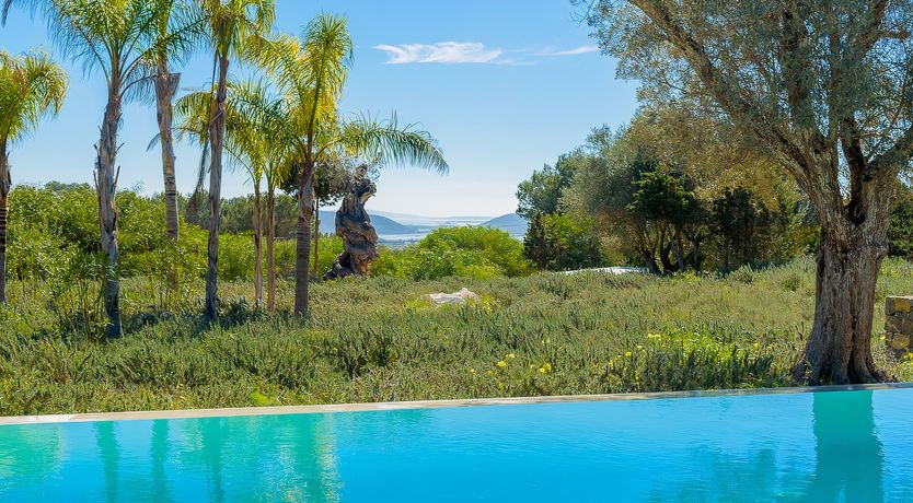 Photo of On the Blue Horizon