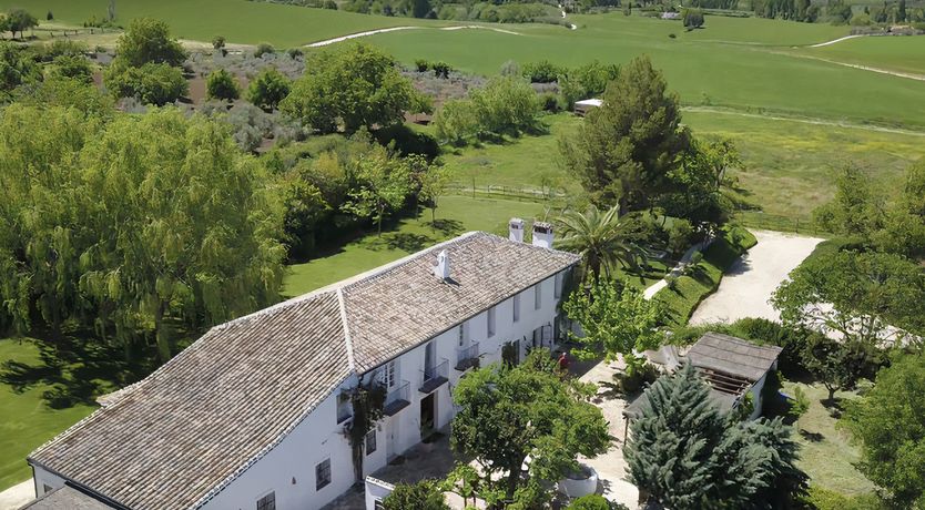 Photo of The Pick of the Flowers