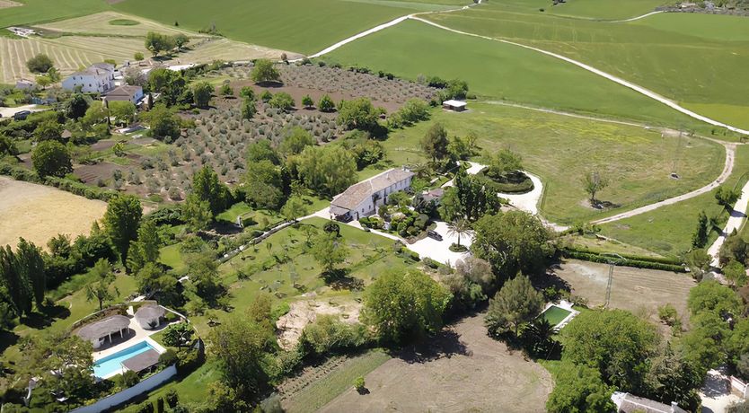 Photo of The Pick of the Flowers