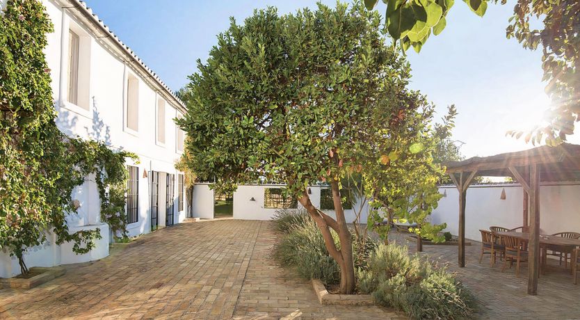 Photo of The Pick of the Flowers