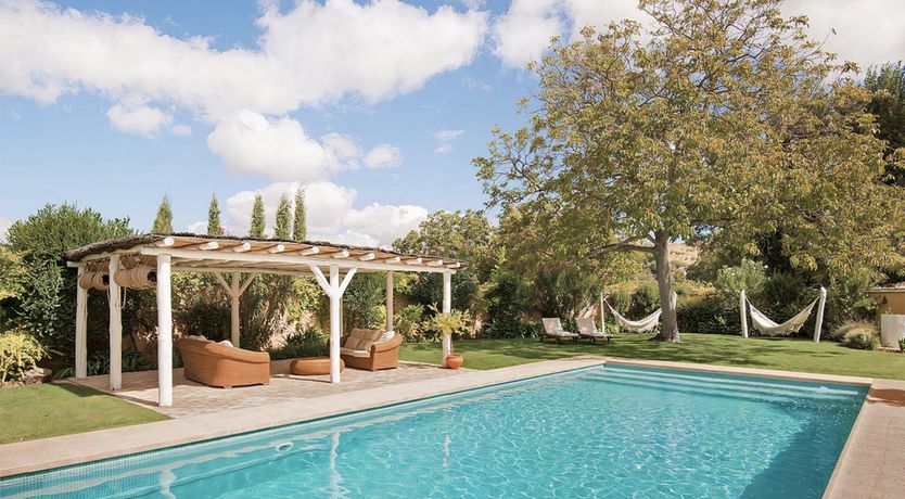 Photo of The Pick of the Flowers