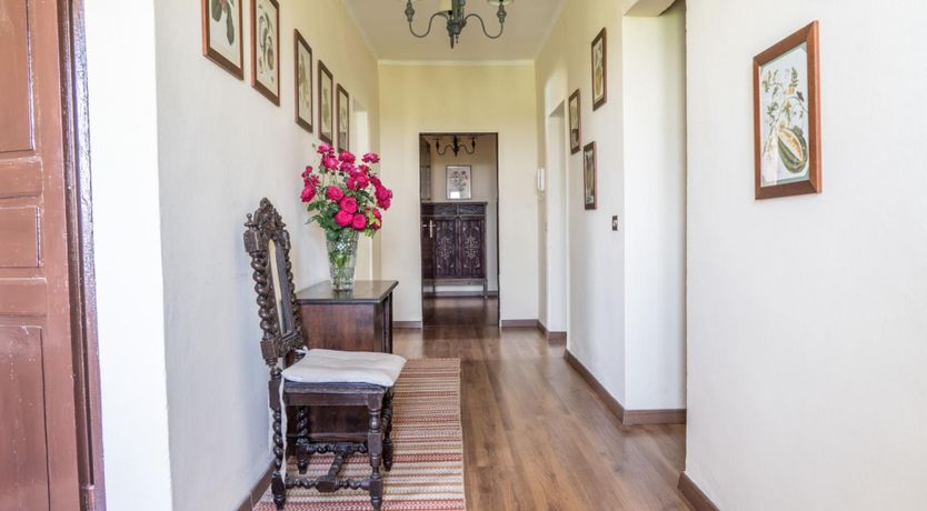 Photo of Italian Lace