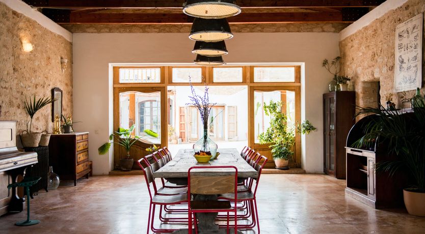 Photo of The Palm Tree Breeze