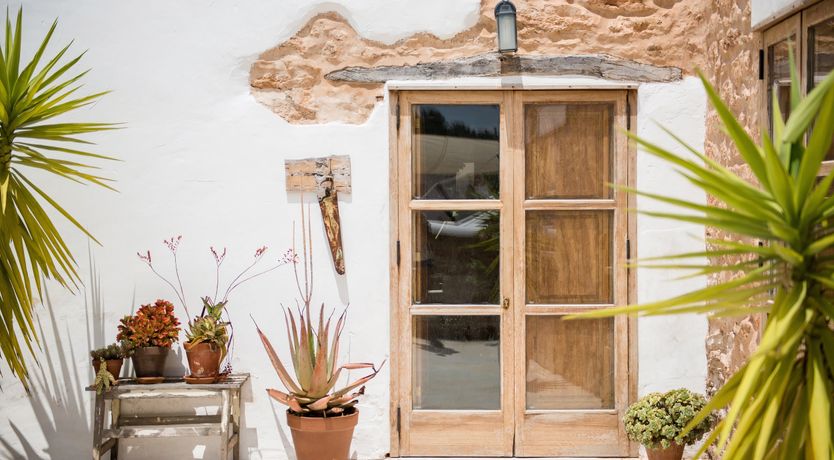 Photo of The Palm Tree Breeze