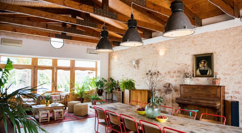 Photo of The Palm Tree Breeze