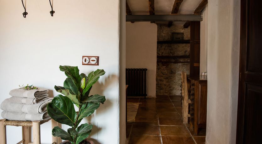 Photo of The Palm Tree Breeze