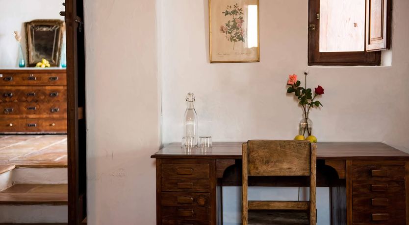 Photo of The Palm Tree Breeze