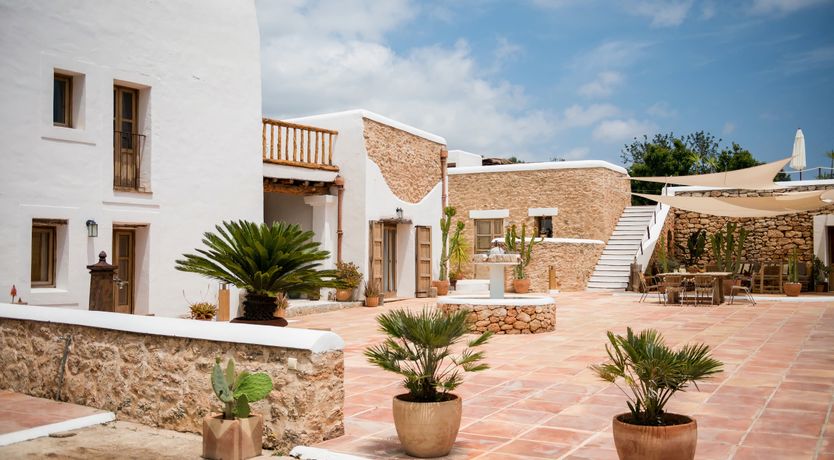 Photo of The Palm Tree Breeze