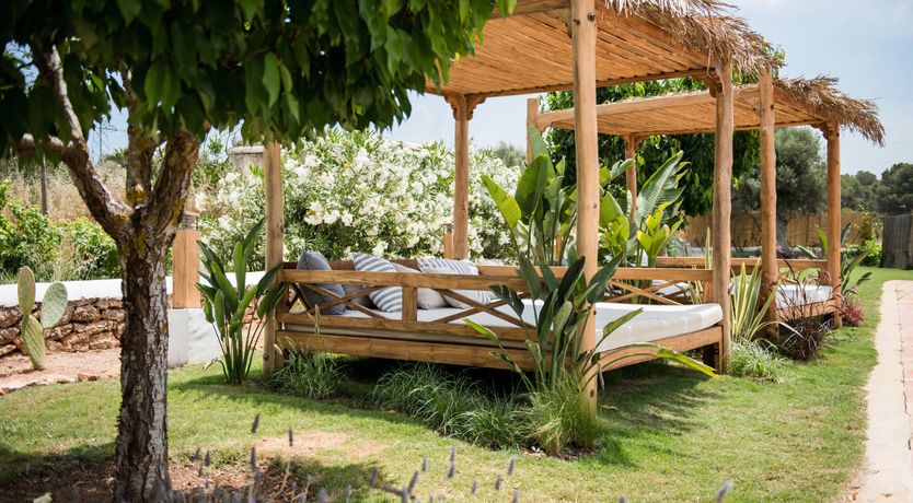 Photo of The Palm Tree Breeze