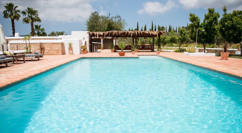 Photo of The Palm Tree Breeze