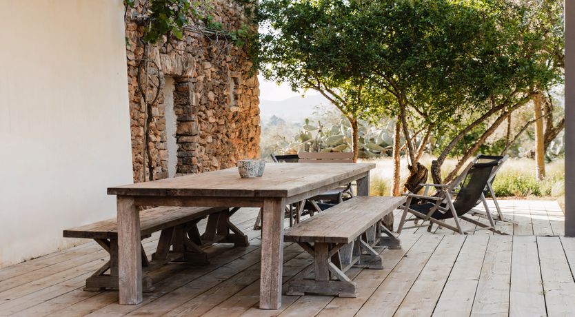 Photo of The Modern Garden