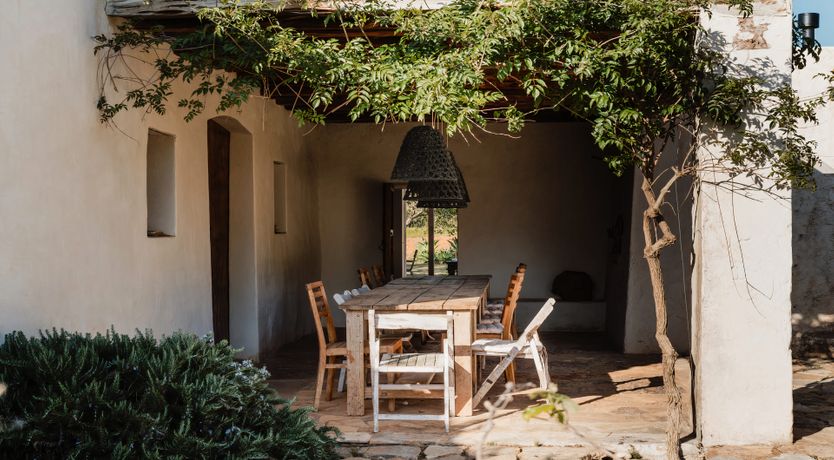 Photo of The Modern Garden