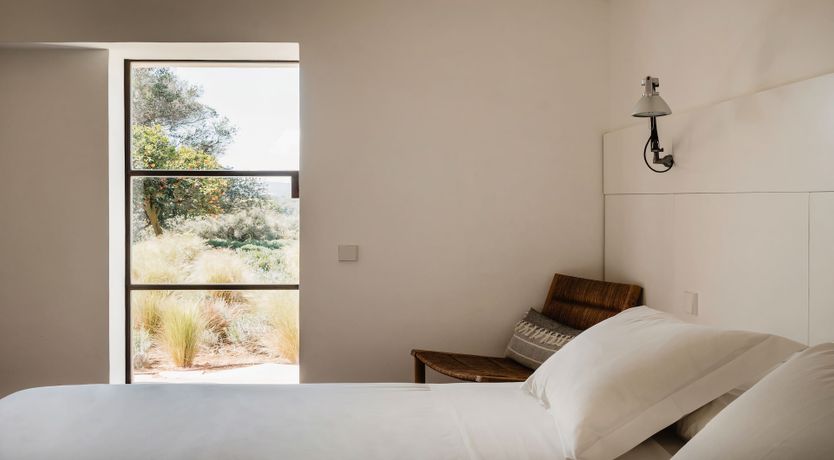 Photo of The Modern Garden