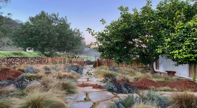 Photo of The Modern Garden