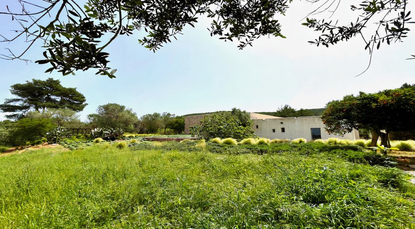 Photo of The Modern Garden