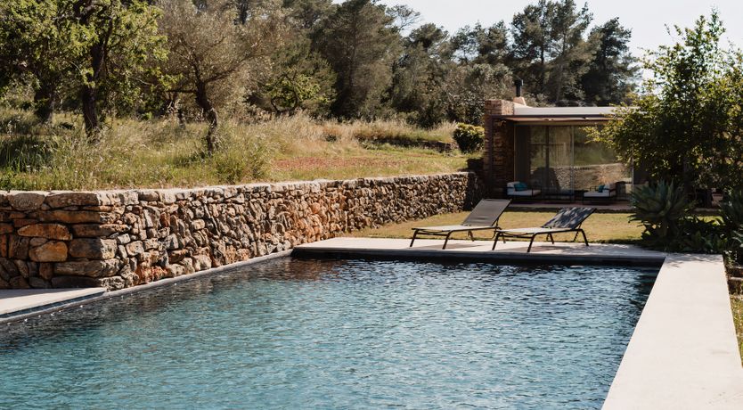 Photo of The Modern Garden