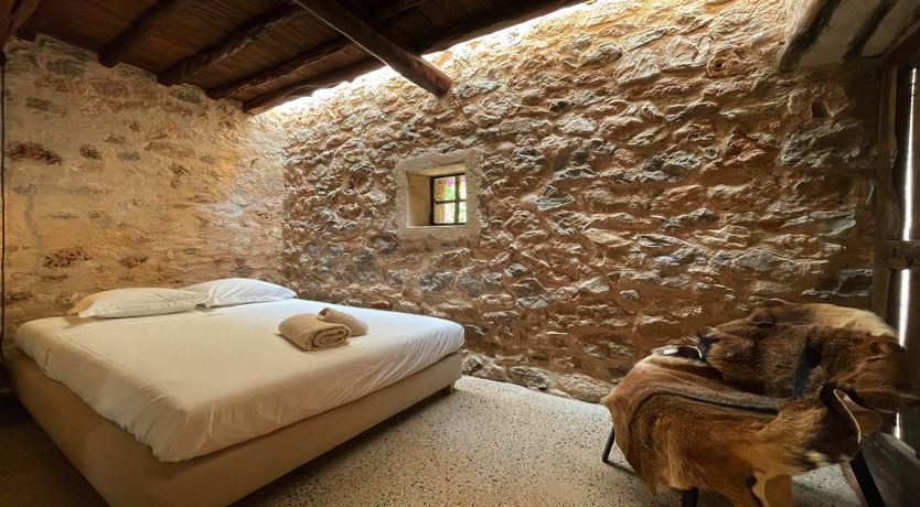 Photo of The Modern Garden