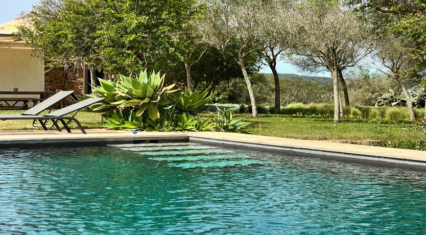 Photo of The Modern Garden