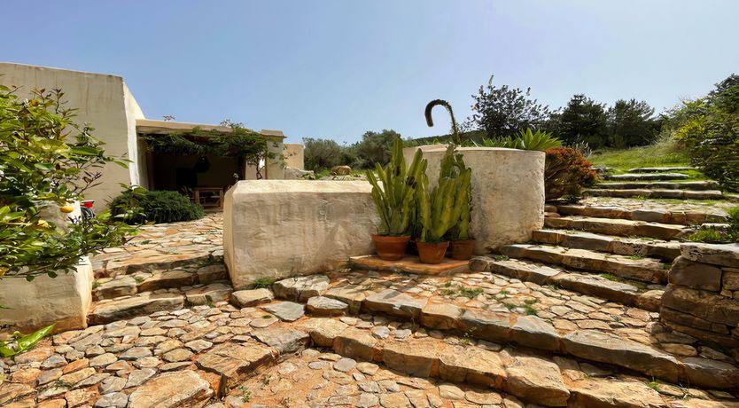 Photo of The Modern Garden