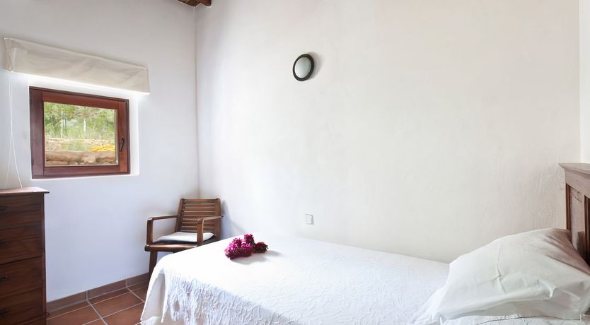 Photo of A Little Oasis