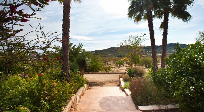 Photo of A Little Oasis