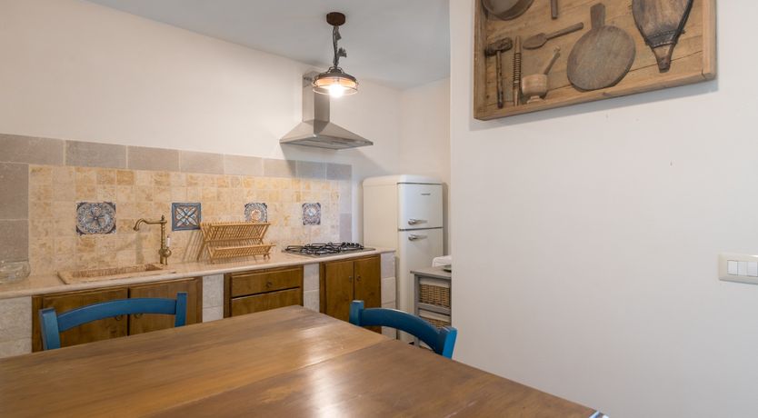 Photo of Under the Fig Tree