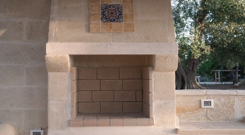 Photo of Under the Fig Tree