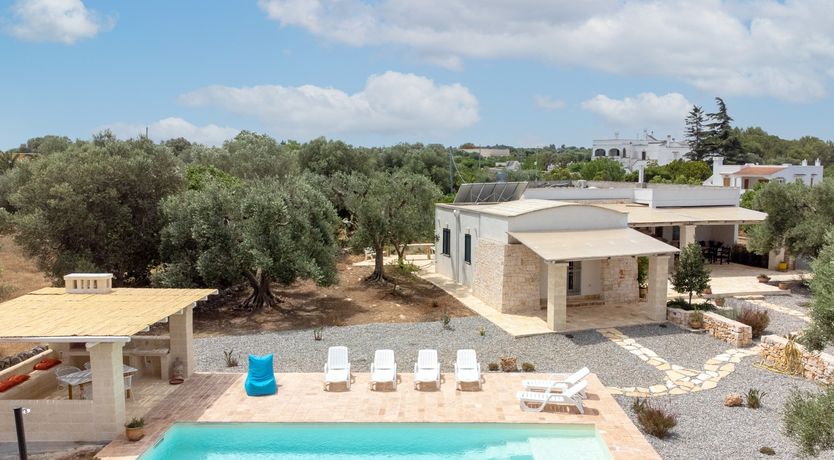 Photo of Under the Fig Tree